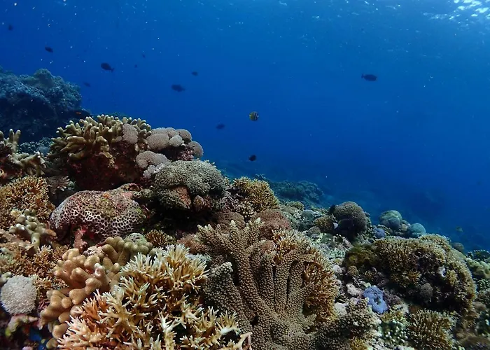 Pandan Wangi Privatunterkunft Nusa Lembongan